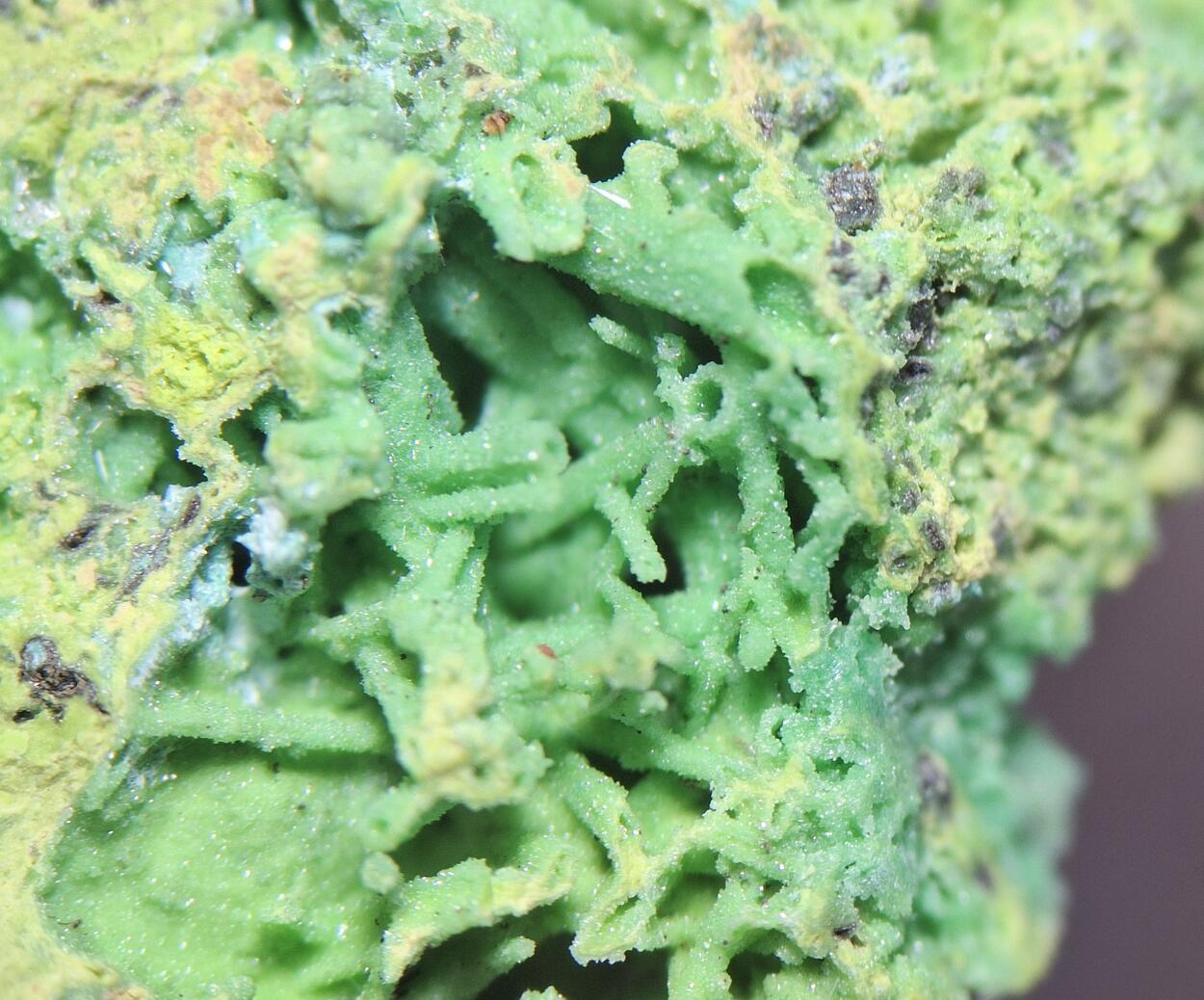 Bayldonite Psm Mimetite Cerussite