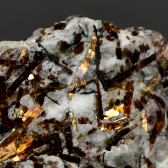 Astrophyllite