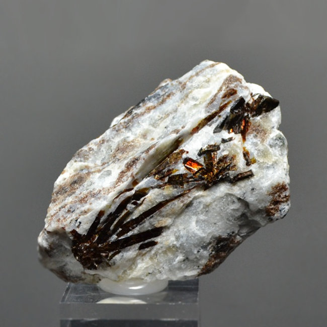Astrophyllite