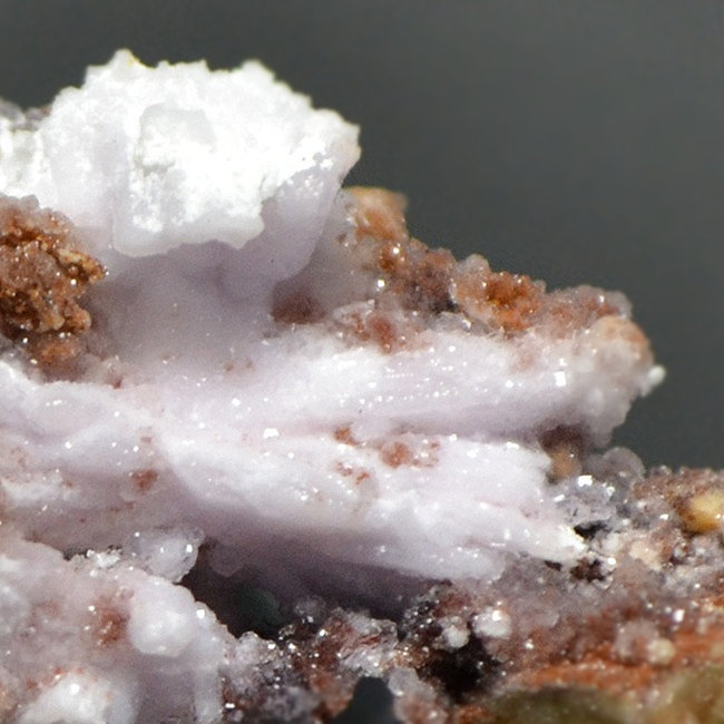 Creedite