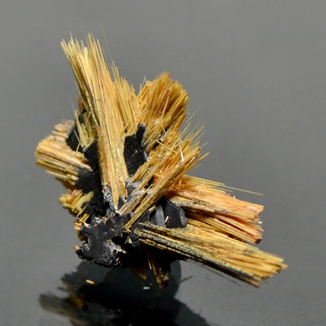 Rutile