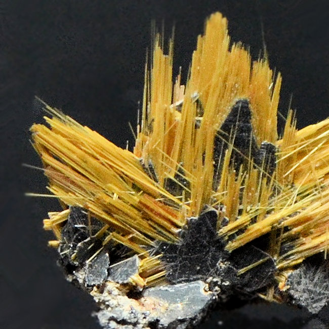 Rutile