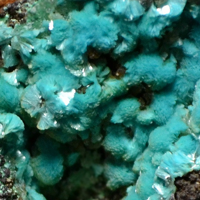 Aurichalcite