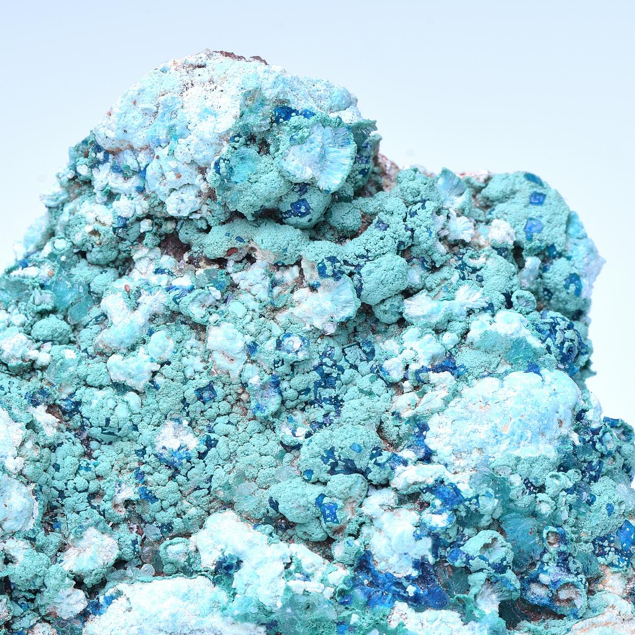 Veszelyite & Chrysocolla & Hemimorphite & Aurichalcite