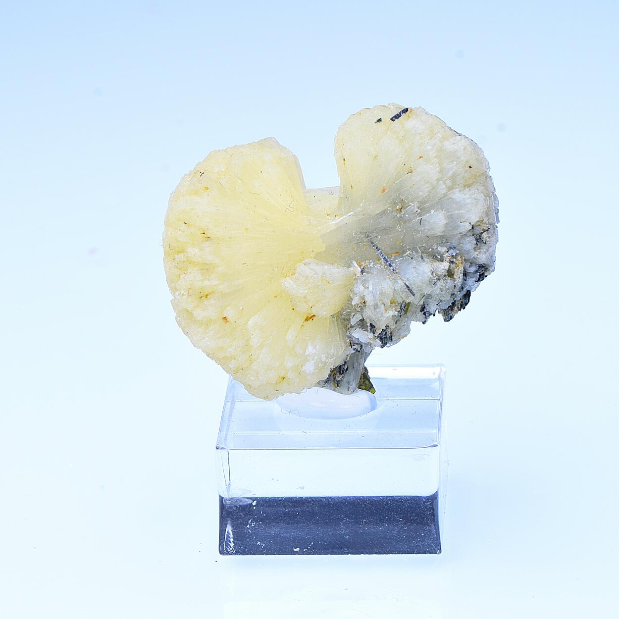 Stilbite & Actinolite