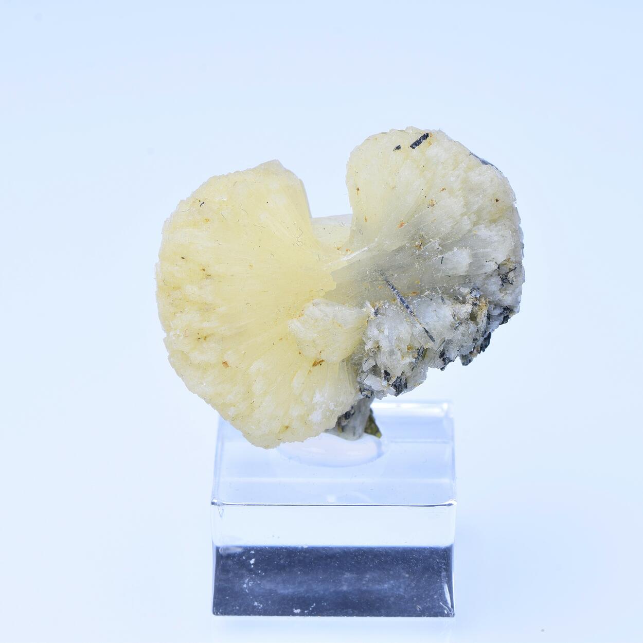 Stilbite & Actinolite