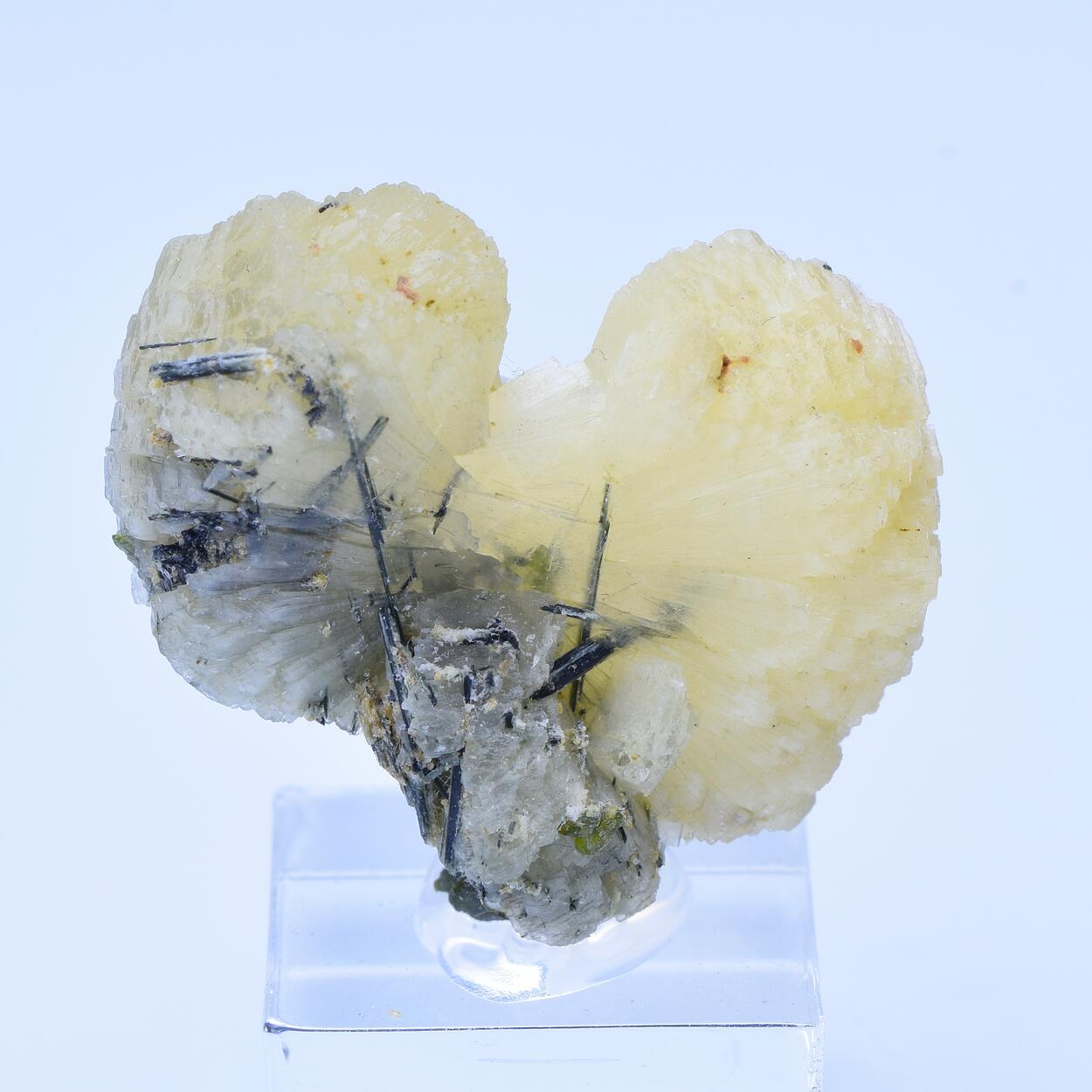 Stilbite & Actinolite