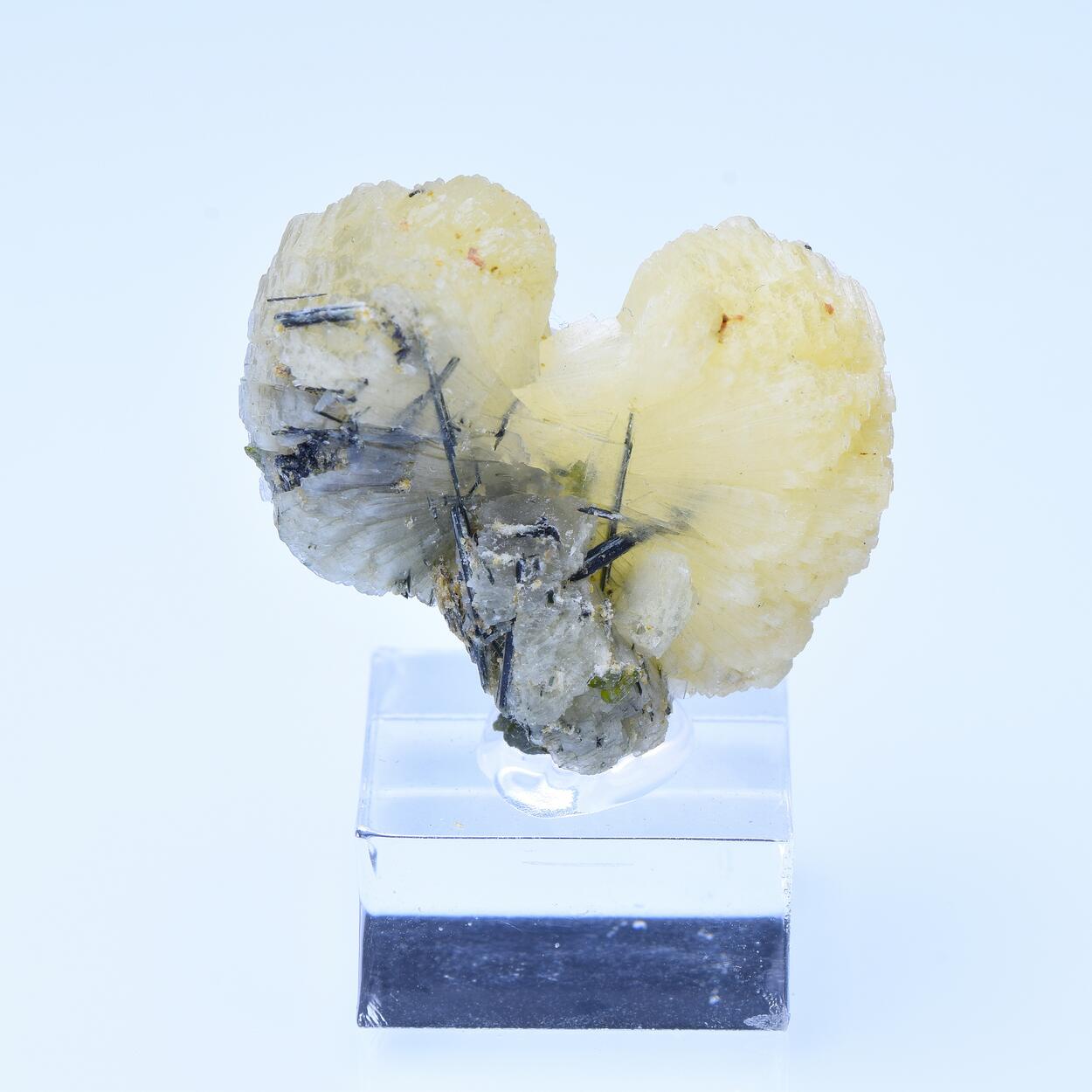 Stilbite & Actinolite