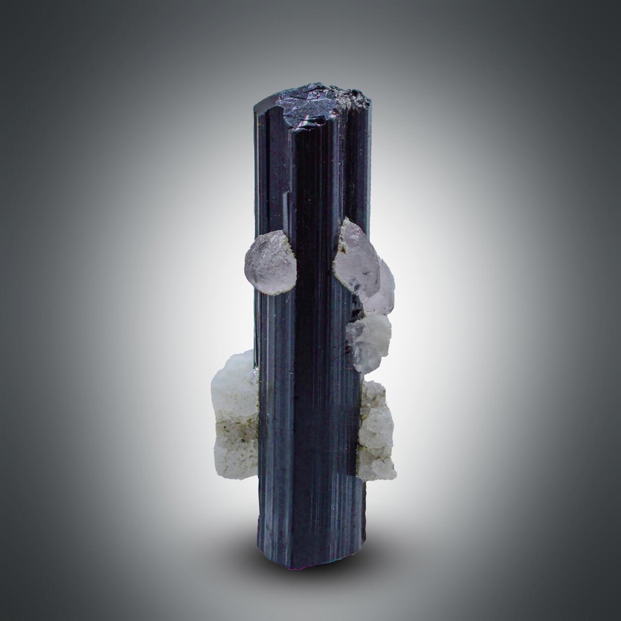 Tourmaline With Apatite