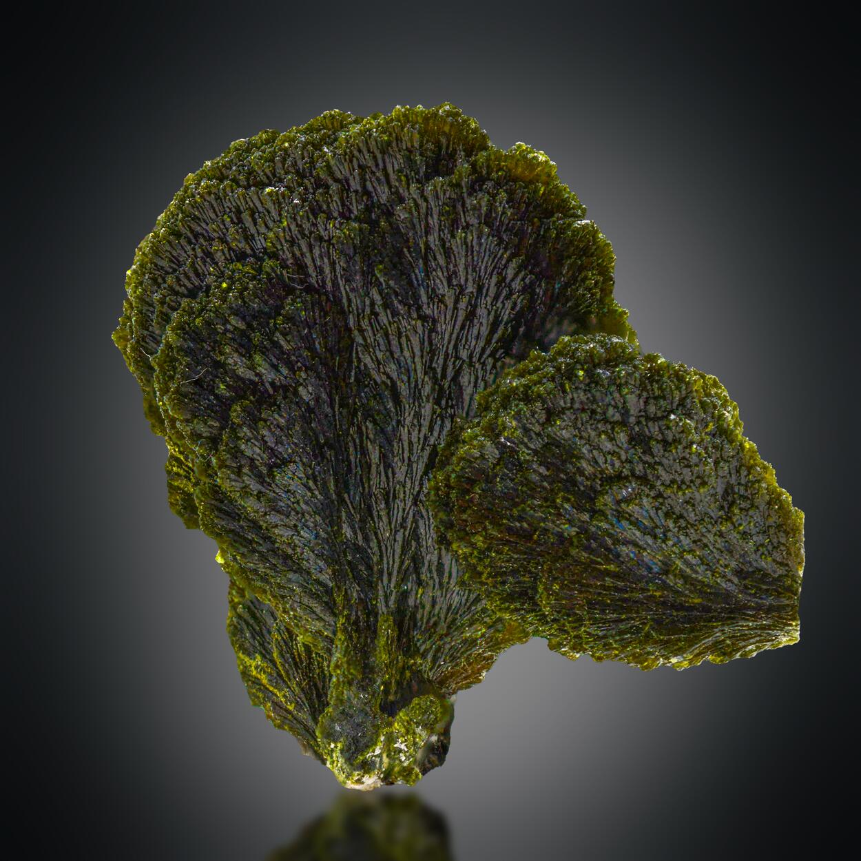 Epidote