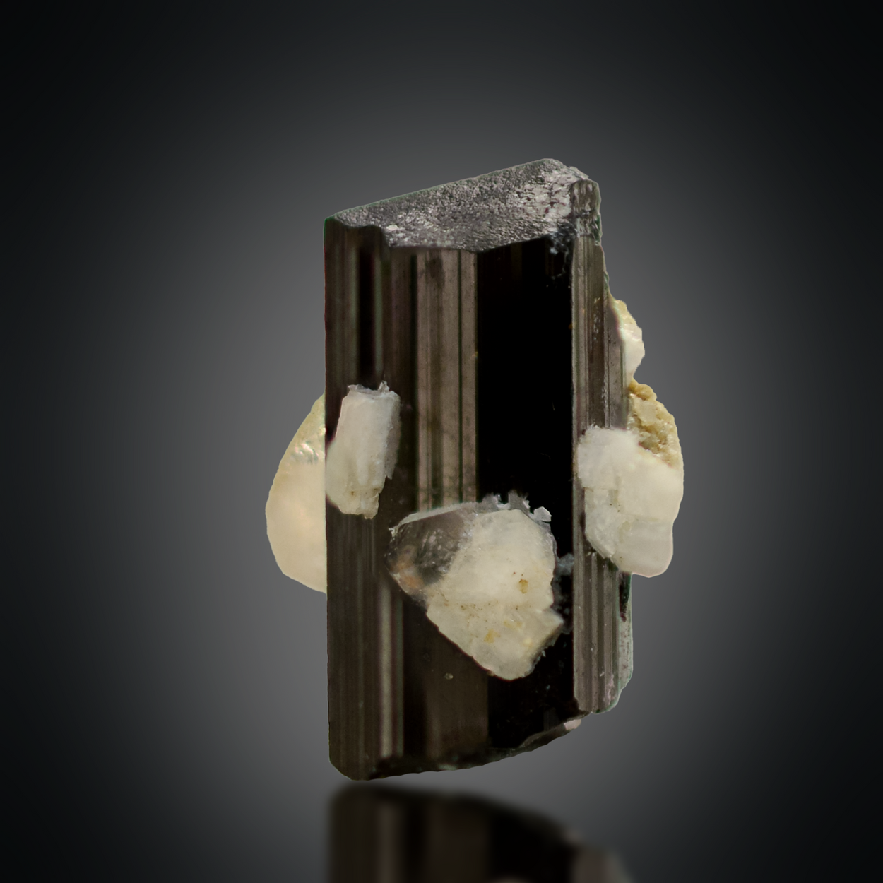 Schorl With Quartz