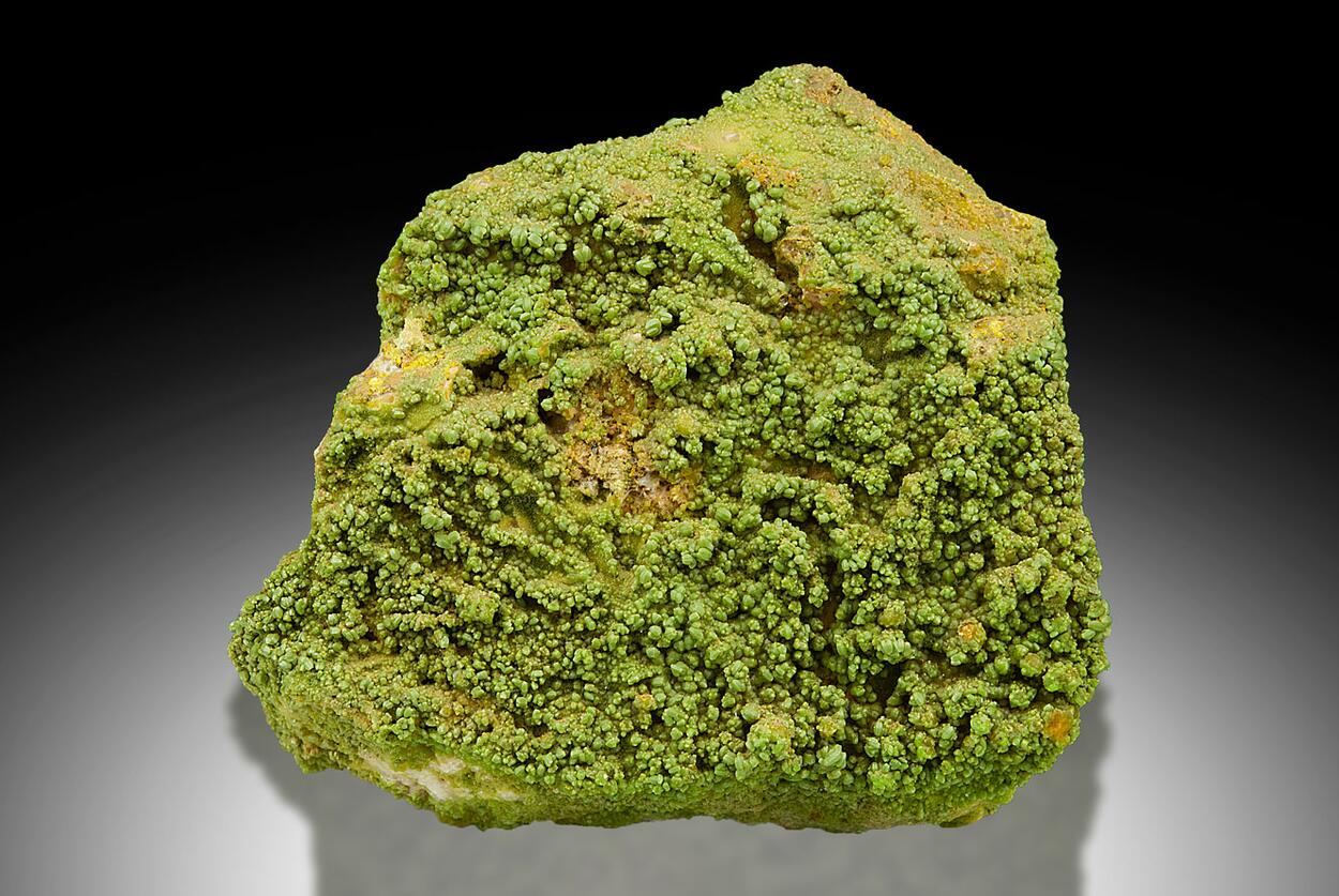 Campylite