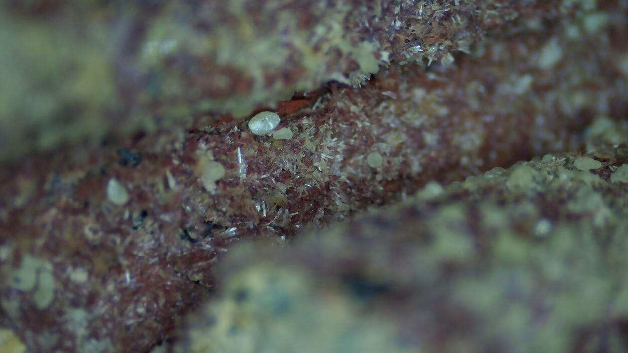 Klebelsbergite Stibnite Metastibnite Sulphur & Quartz