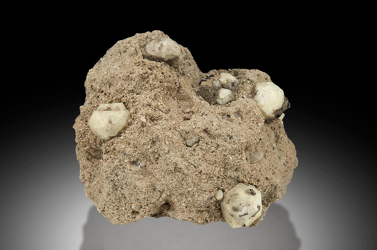 Leucite & Augite