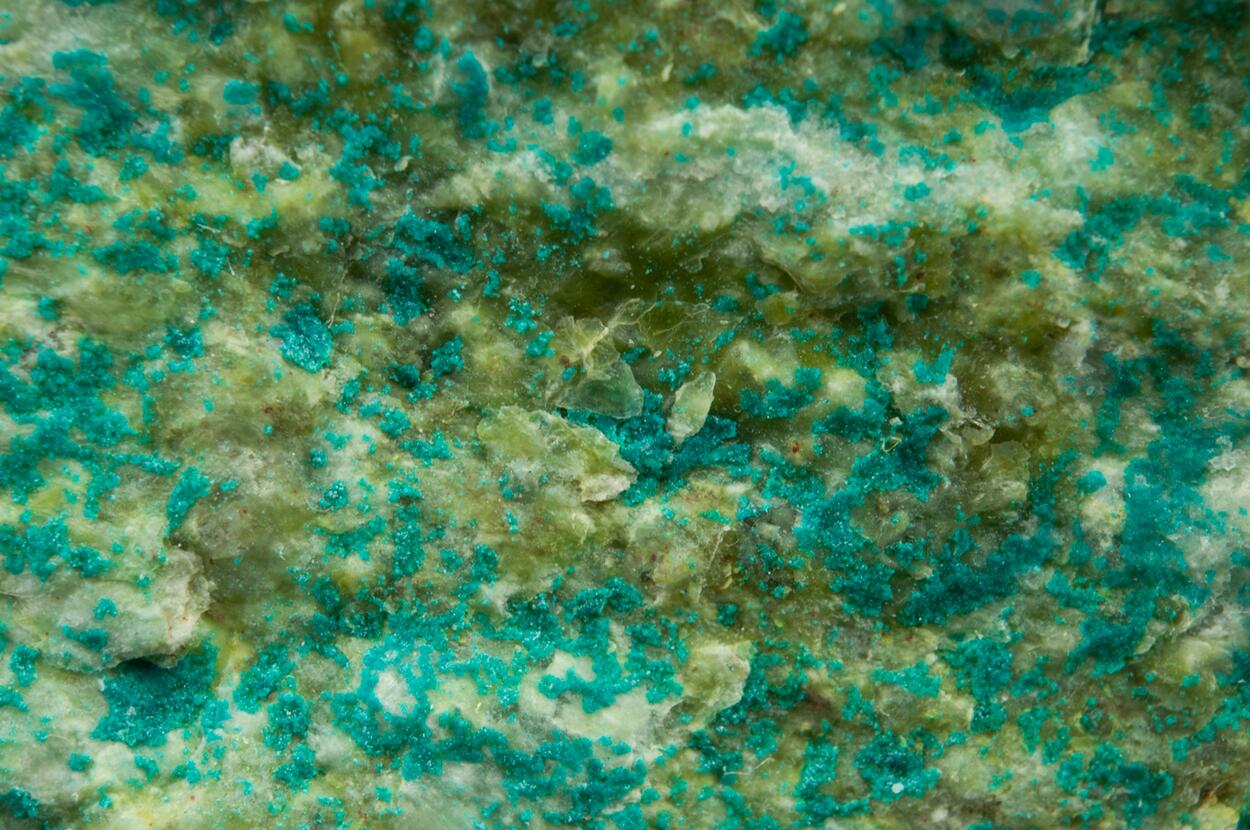 Spangolite With Connellite