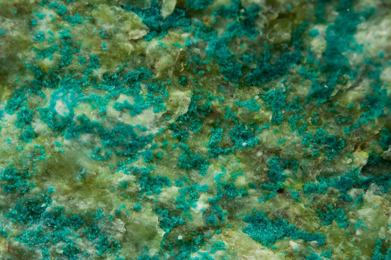 Spangolite With Connellite