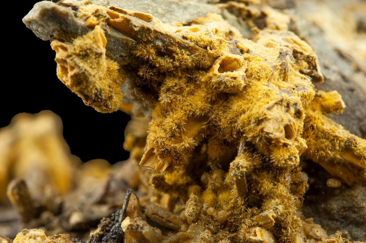 Cervantite On Stibiconite