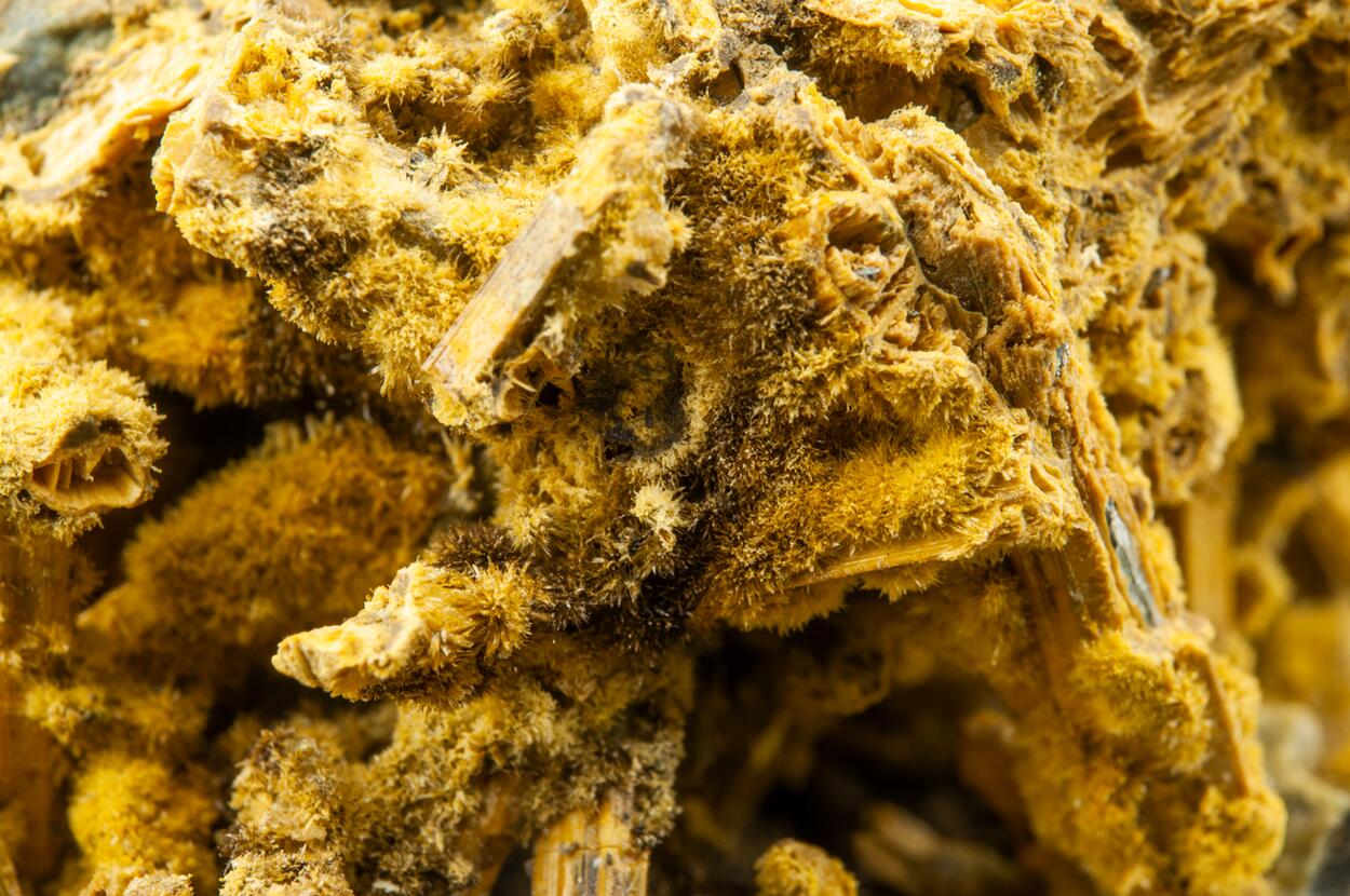 Cervantite On Stibiconite