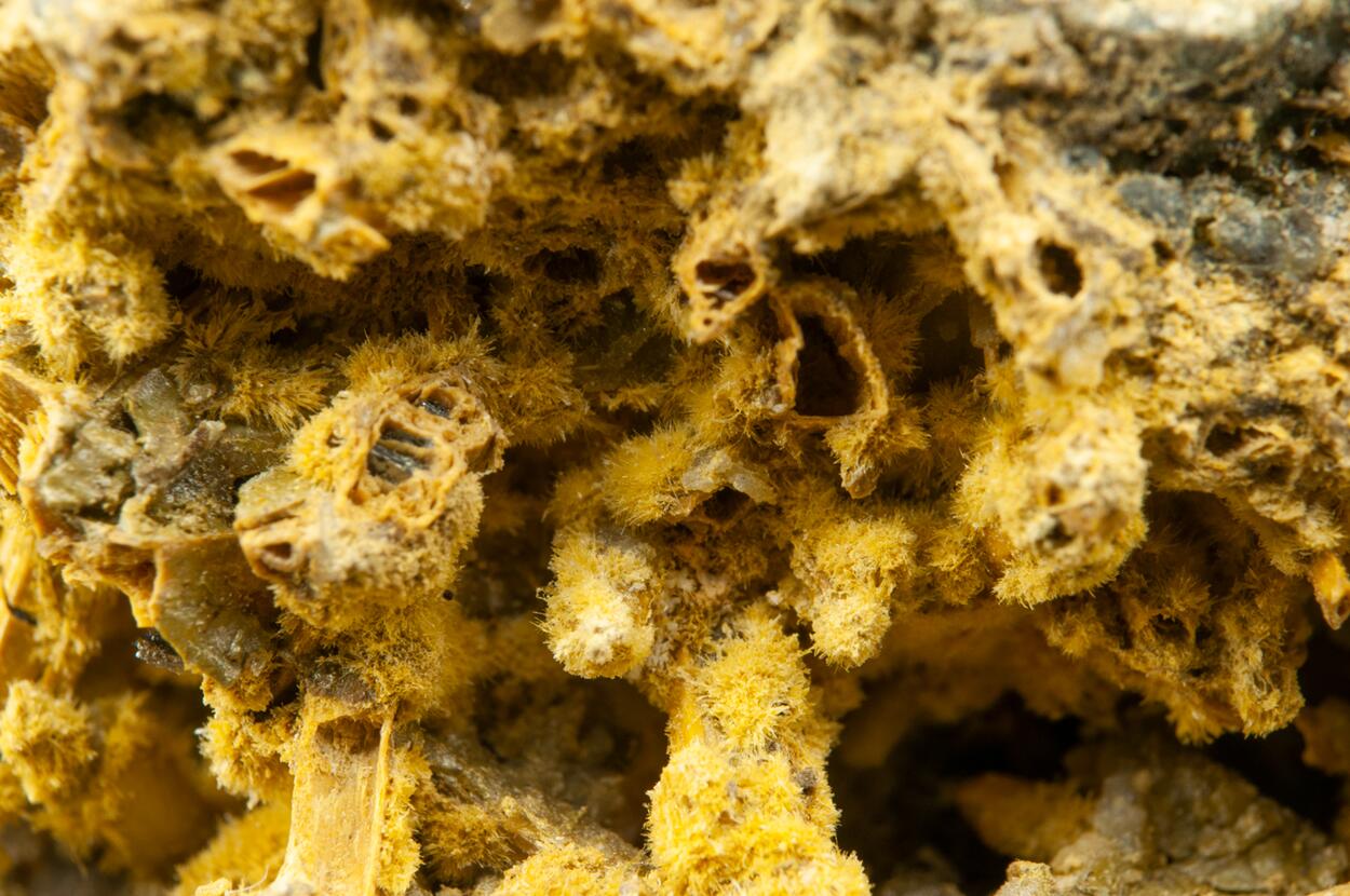 Cervantite On Stibiconite