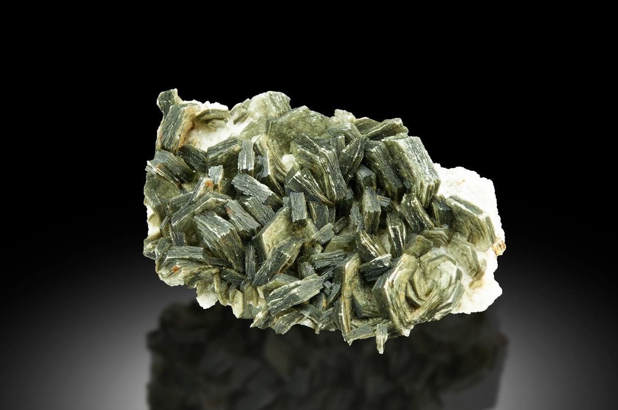 Biotite
