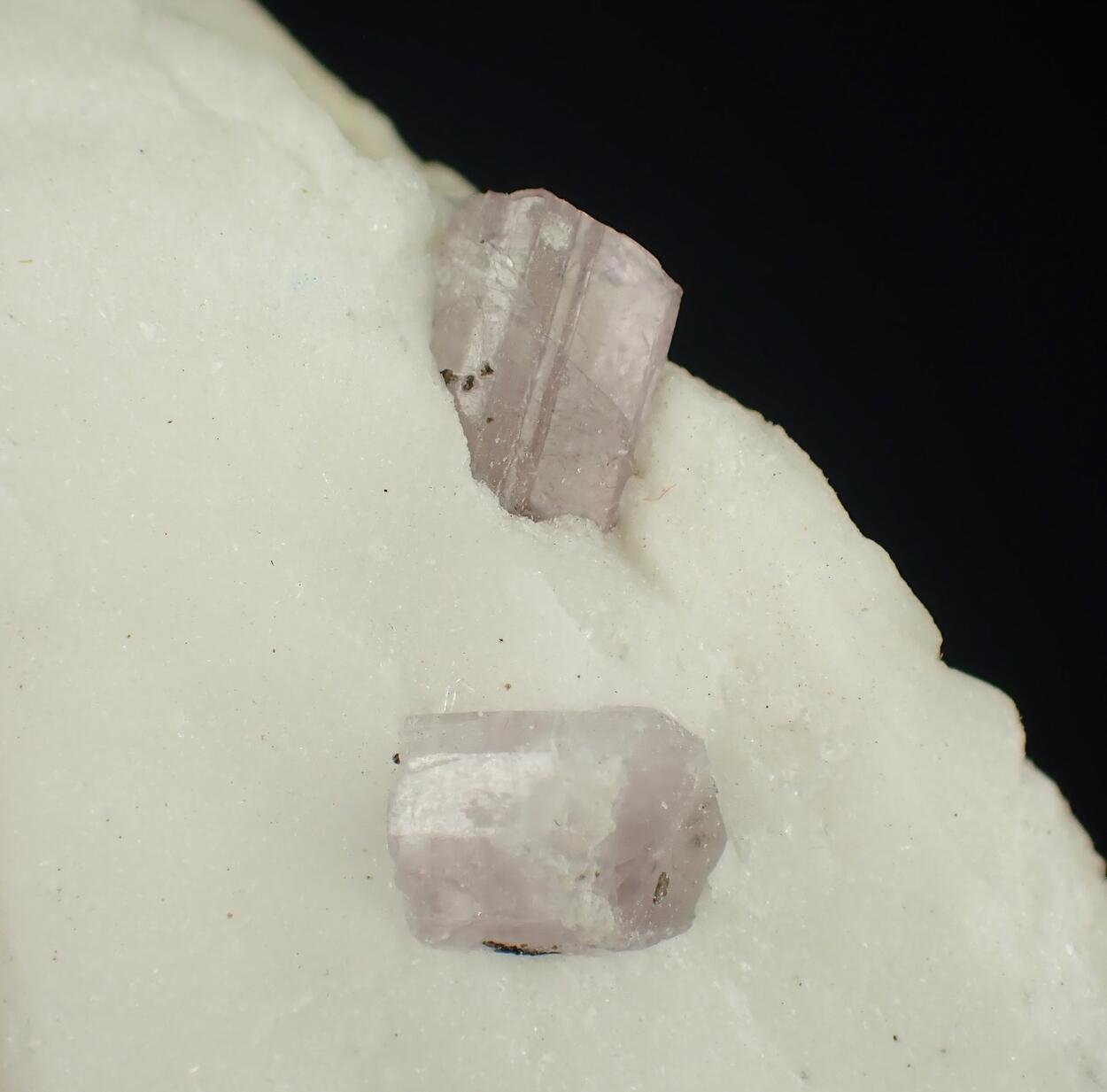 Scapolite