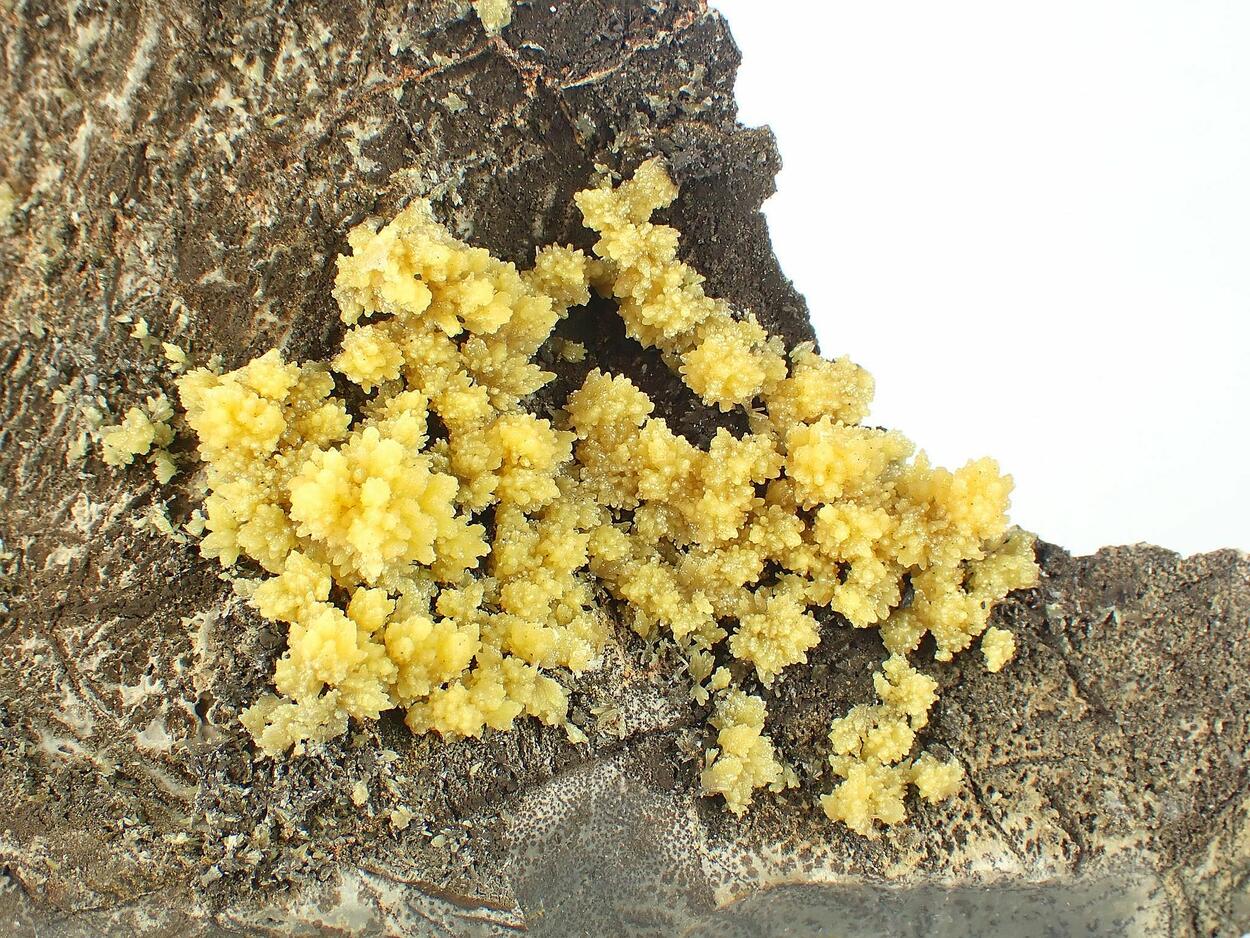 Mimetite