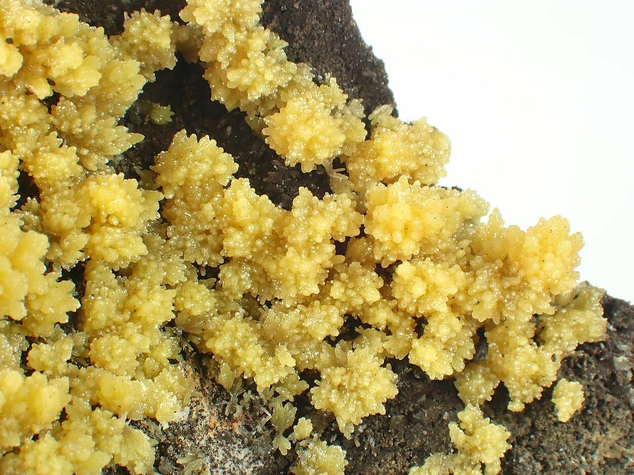 Mimetite