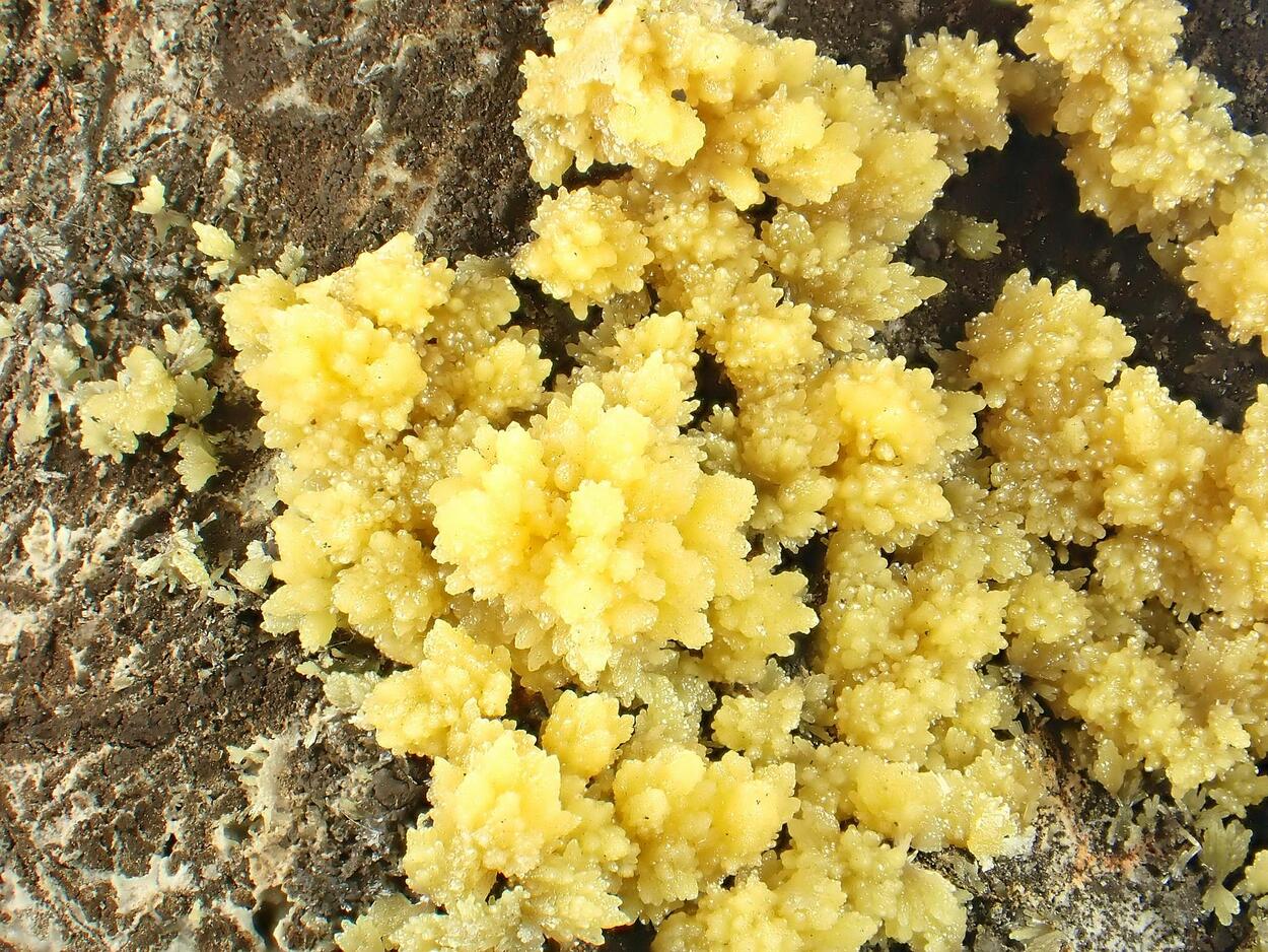 Mimetite