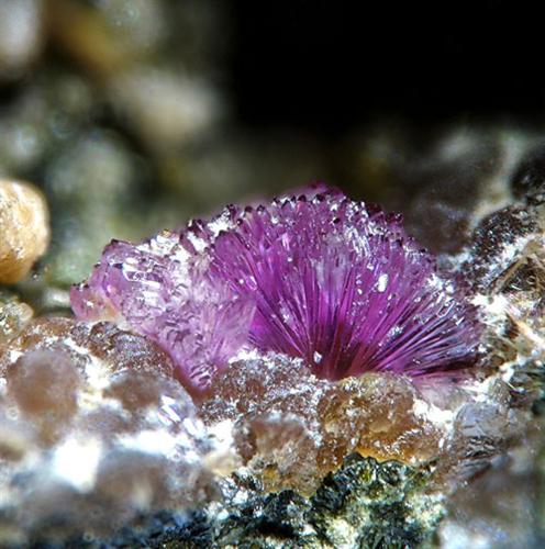 Strengite & Cyrilovite