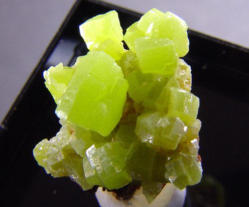 Pyromorphite