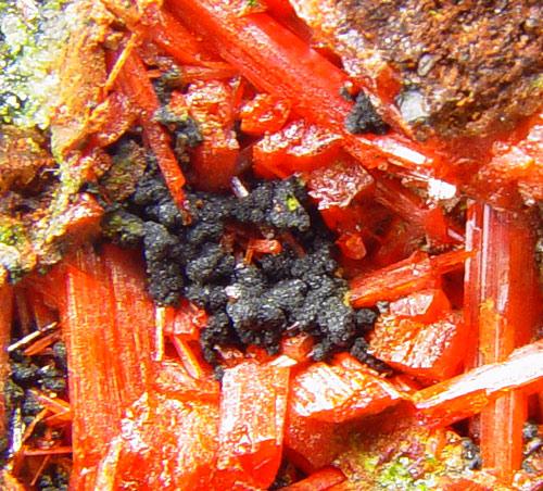 Vauquelinite & Crocoite