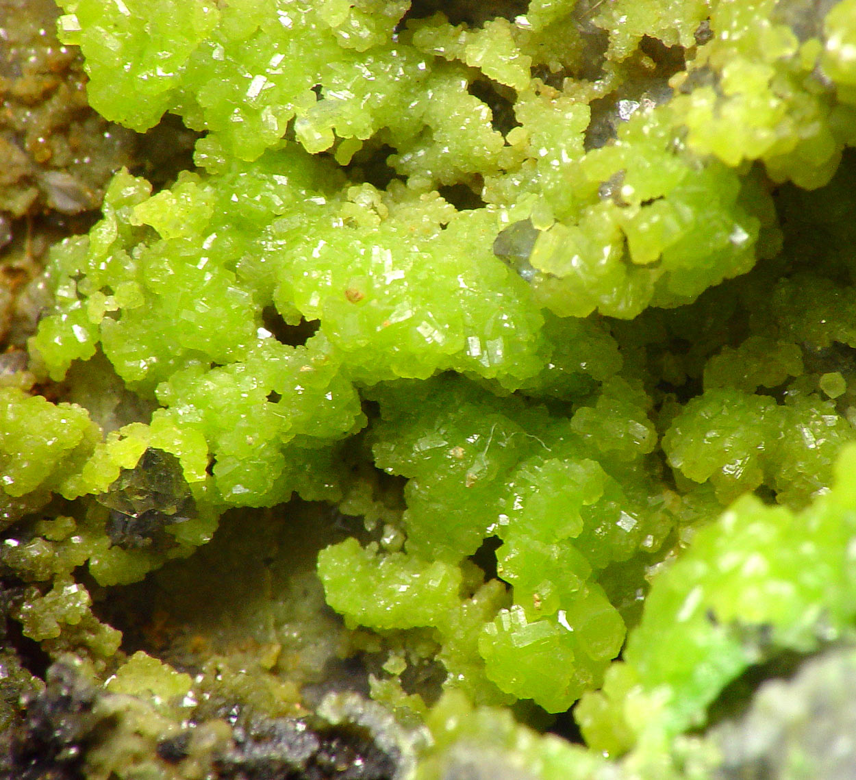 Pyromorphite