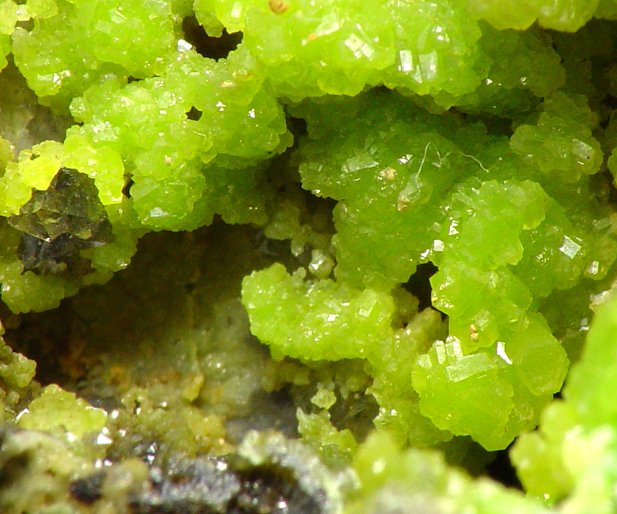 Pyromorphite
