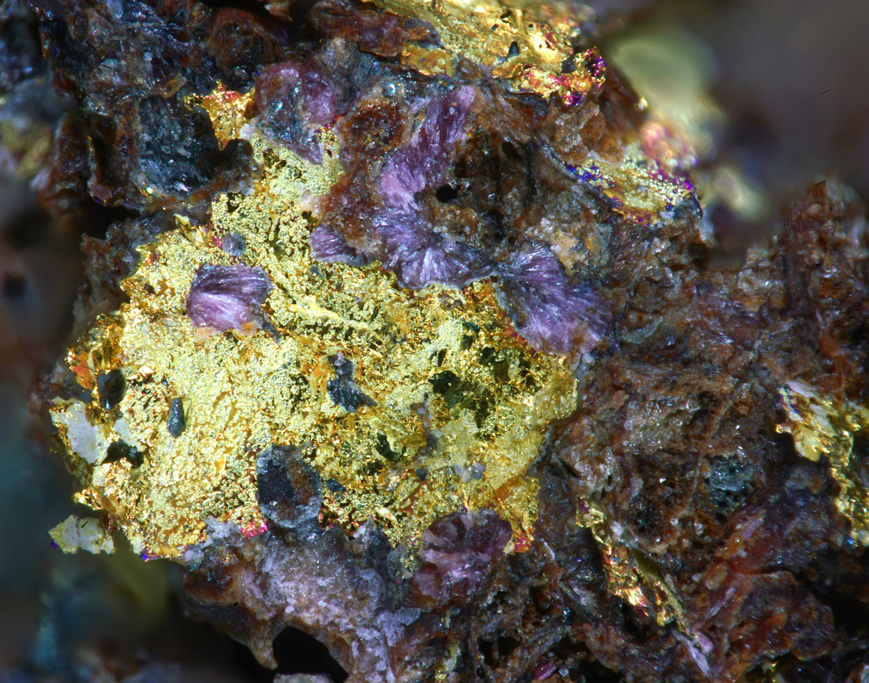Native Gold Electrum & Erythrite