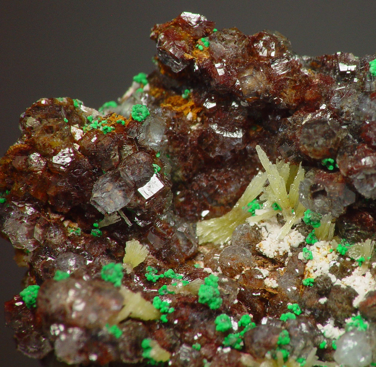 Willemite & Mimetite