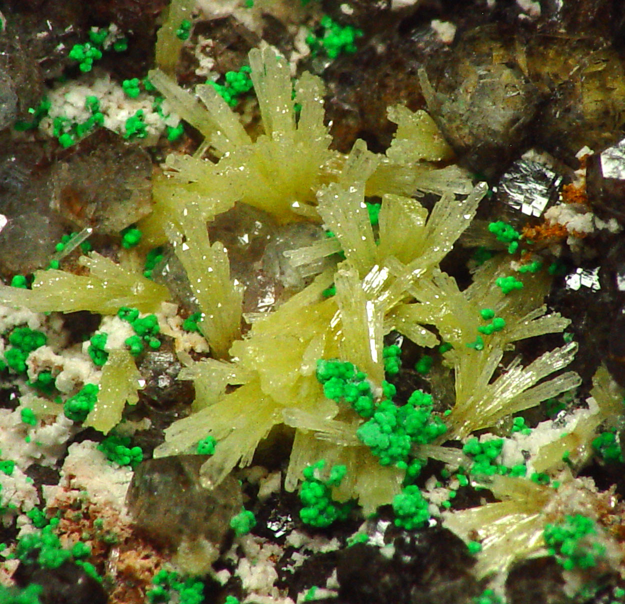 Willemite & Mimetite