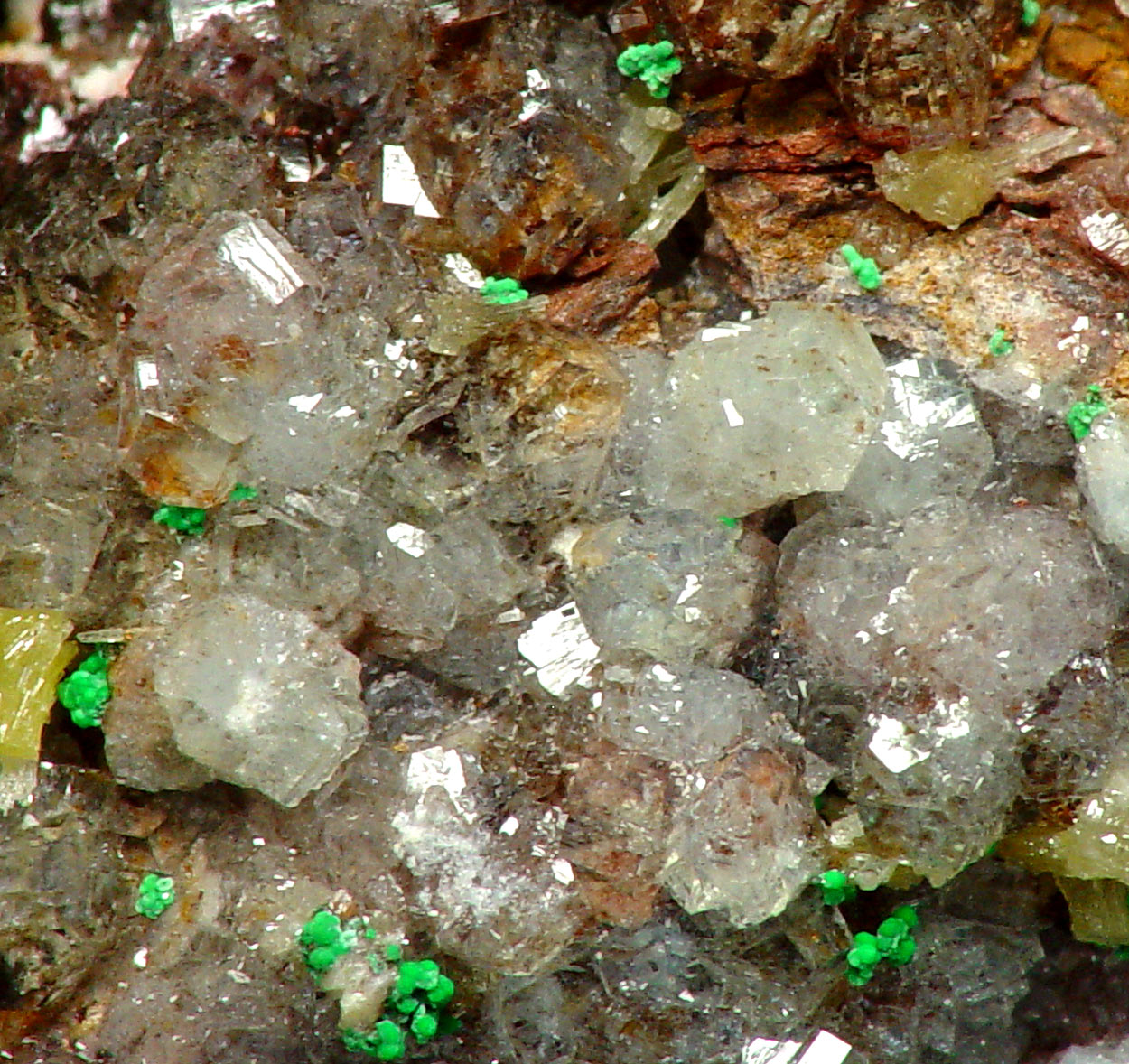 Willemite & Mimetite