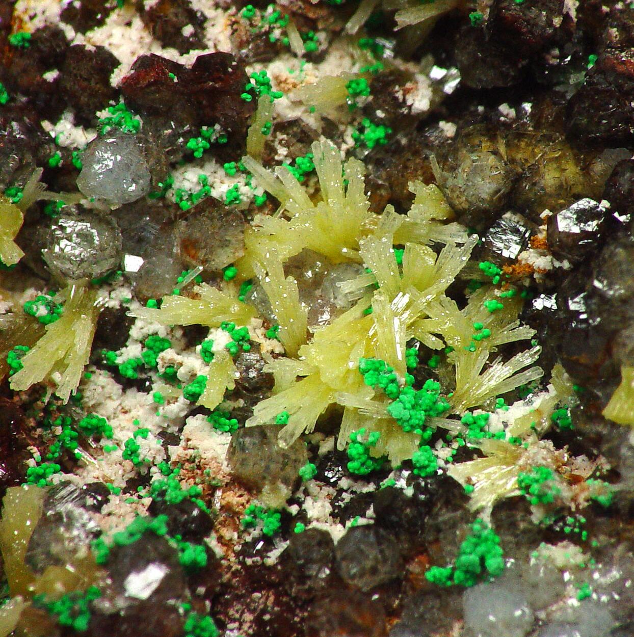 Willemite & Mimetite