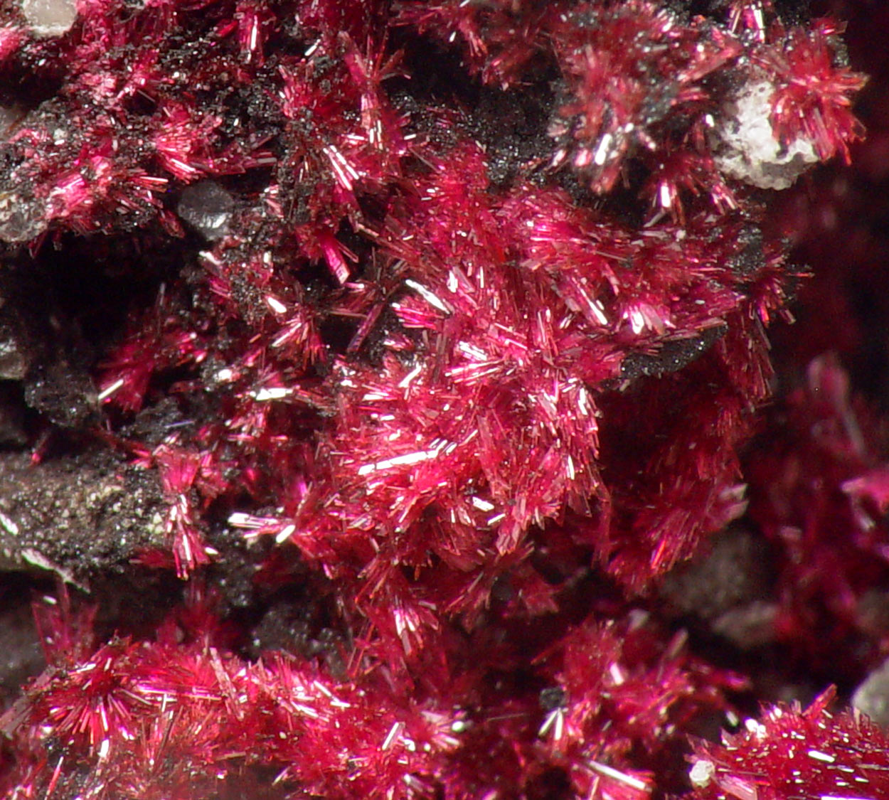 Erythrite