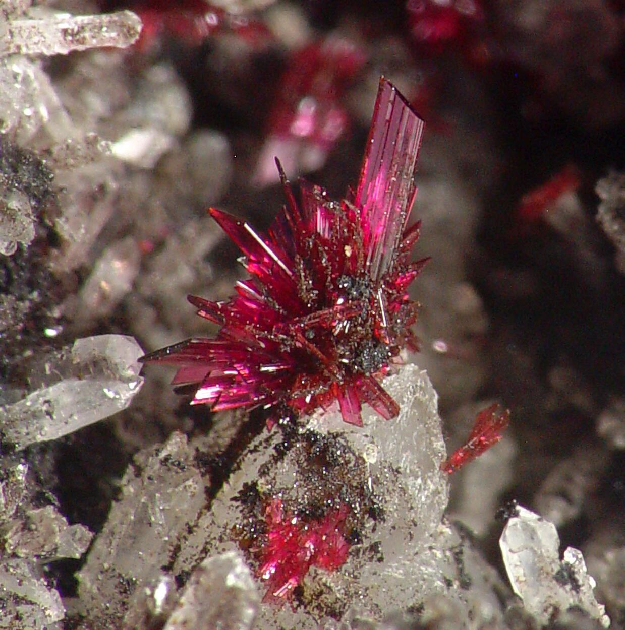 Erythrite