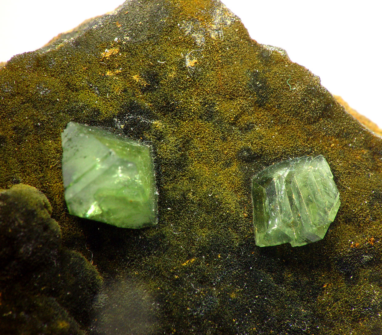 Ludlamite & Vivianite