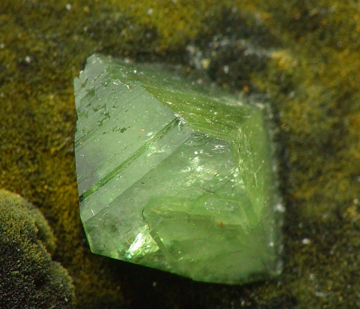 Ludlamite & Vivianite