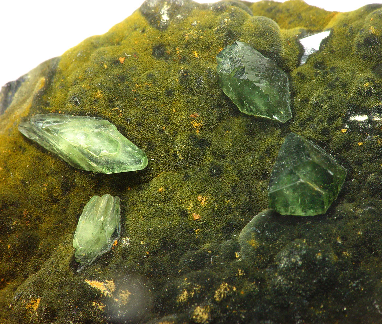 Ludlamite & Vivianite