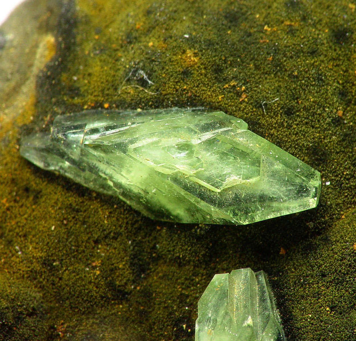 Ludlamite & Vivianite