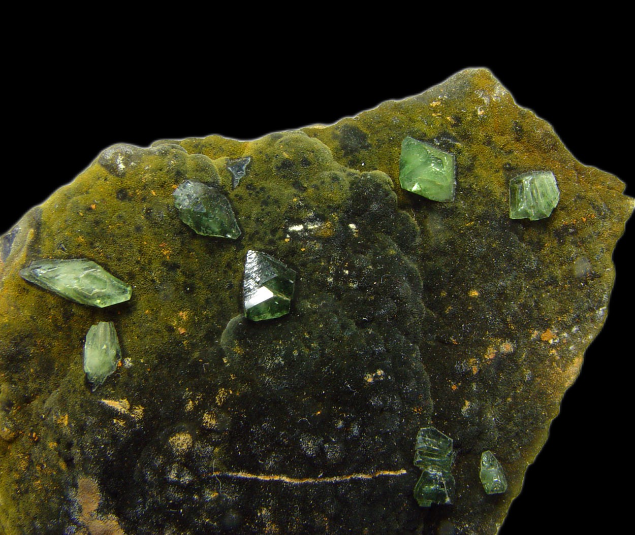 Ludlamite & Vivianite