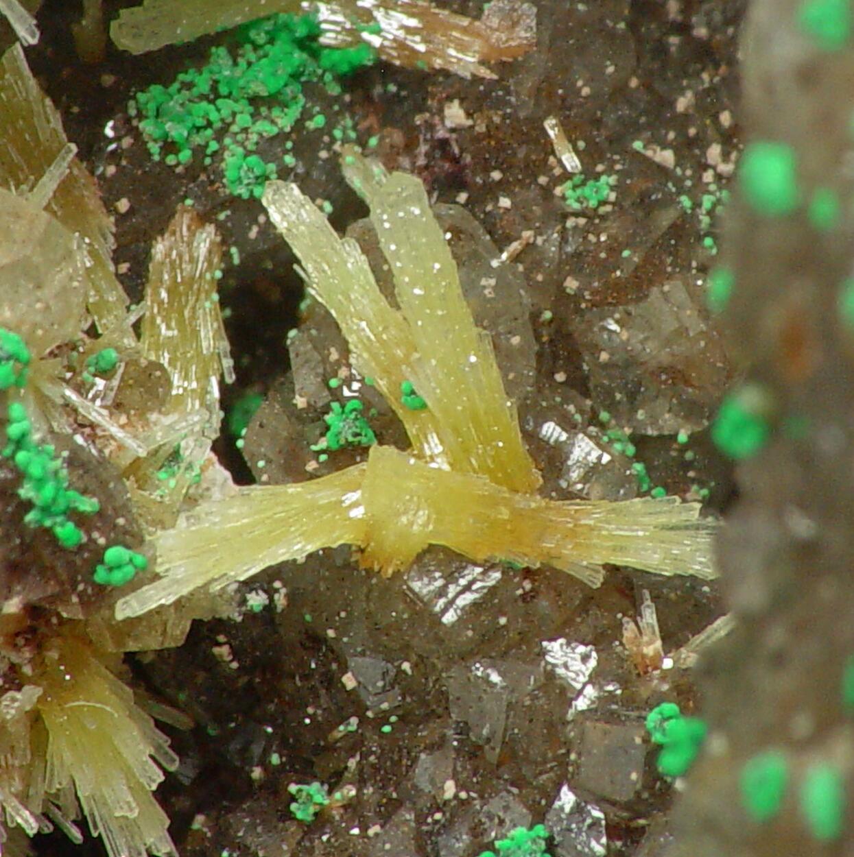 Mimetite