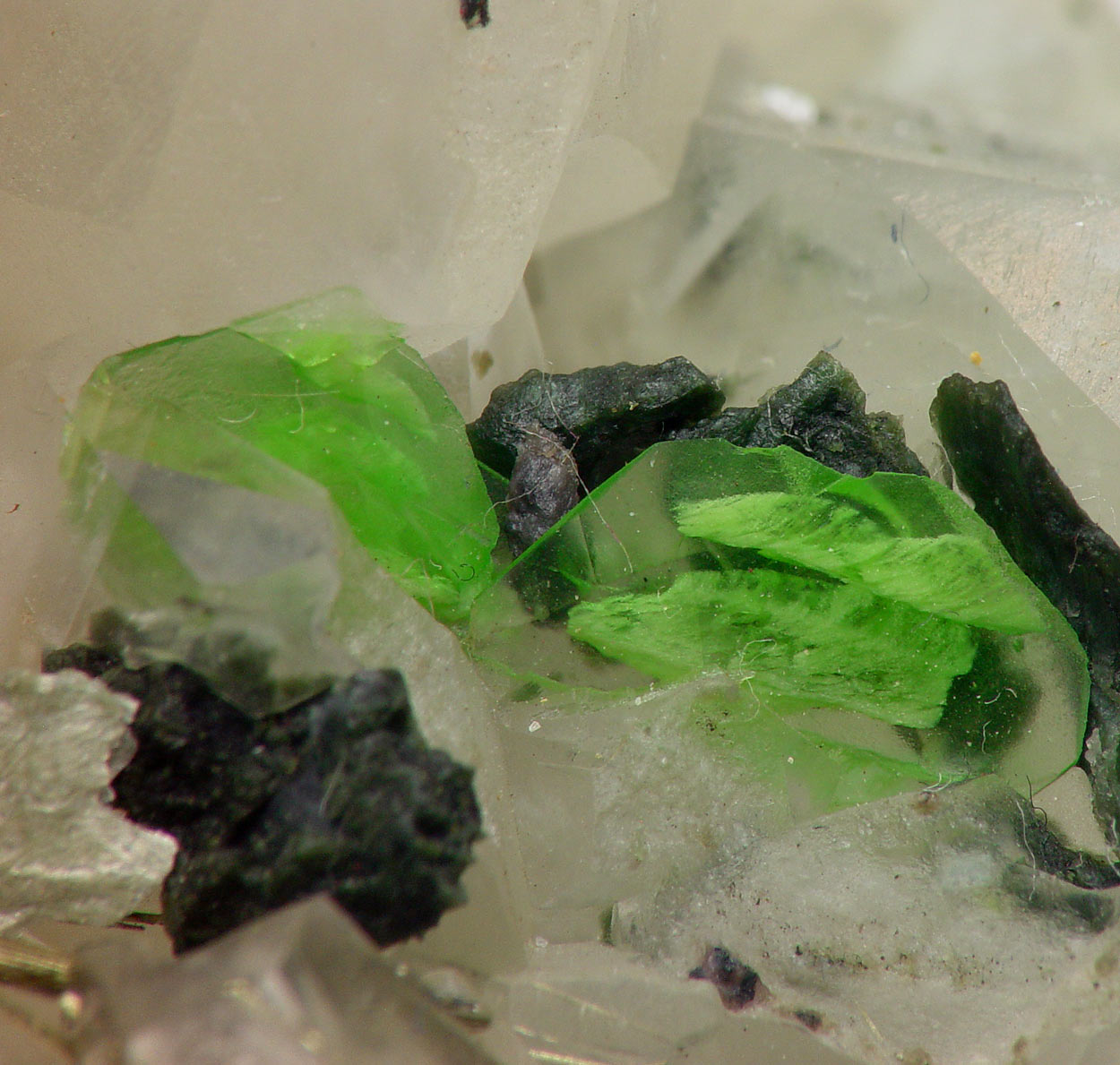 Millerite & Titanite