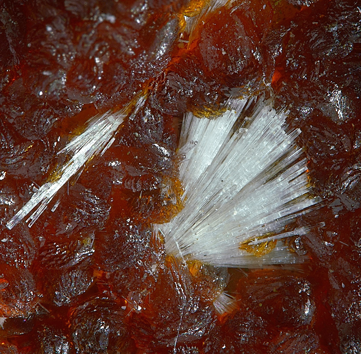 Tiptopite & Roscherite