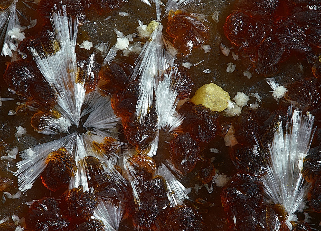 Tiptopite & Roscherite