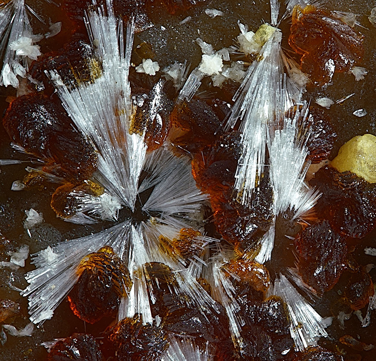 Tiptopite & Roscherite